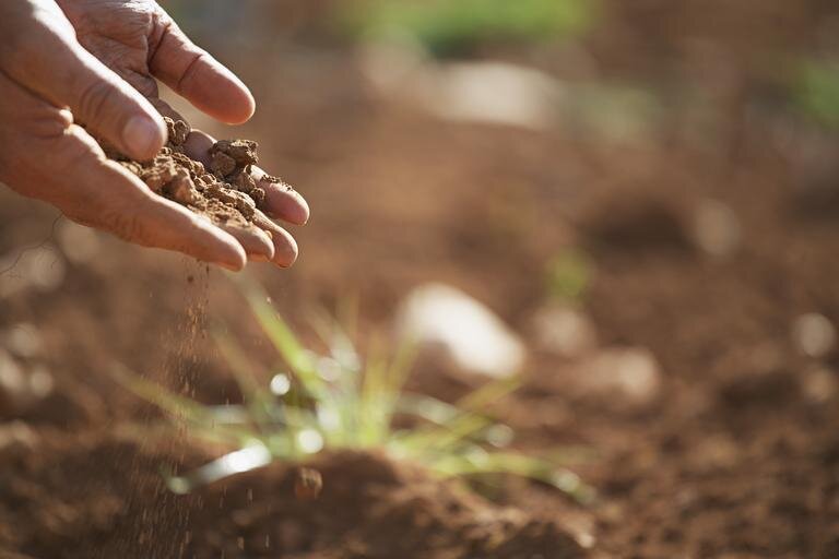 Discover African-American Farming in Vermont